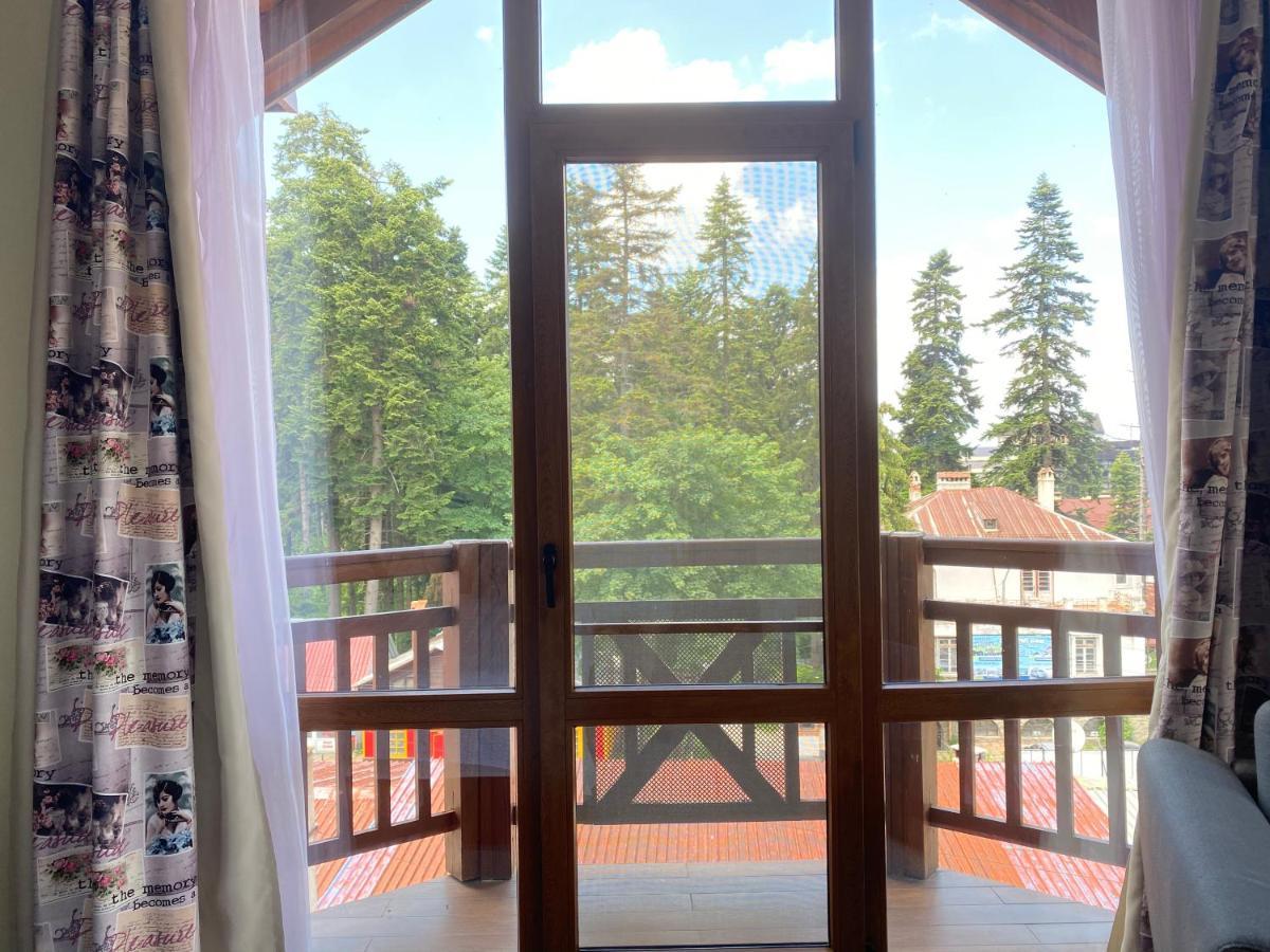 Ice Angels Hotel Borowec Zewnętrze zdjęcie